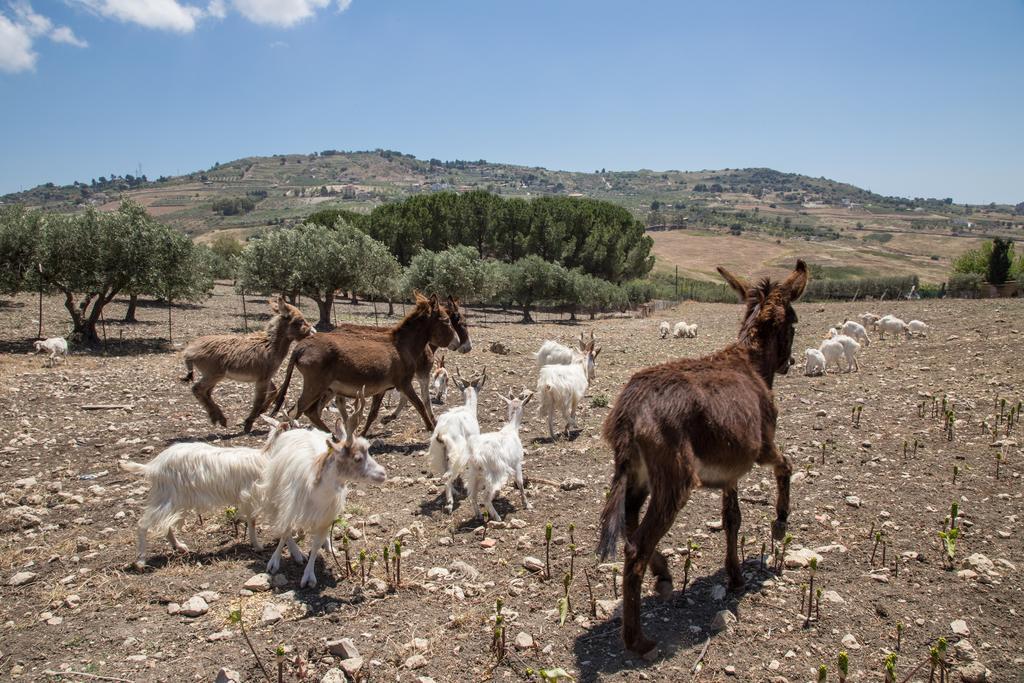 Villa Diana Agrigento Dış mekan fotoğraf